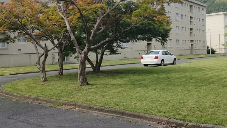 除草作業後：すっきりした状態