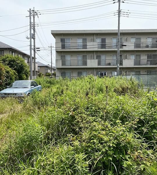 実家の空き地 / 約120㎡ 除草前