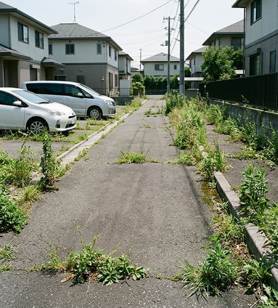 駐車場まわり / 約60㎡ 除草前