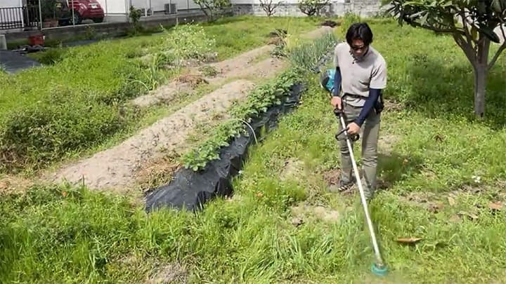 畝のある敷地での草刈り作業中